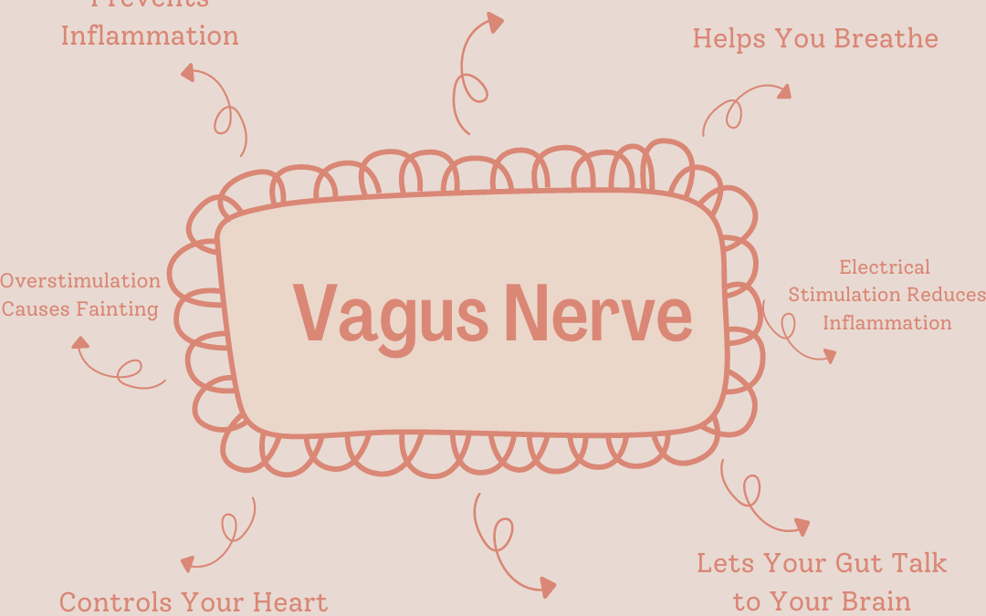 The Vagus Nerve A Biohack Jackpot!