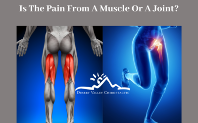 How do I know if my pain is coming from a muscle or a joint?