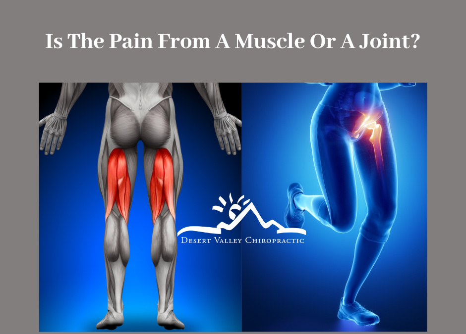 How do I know if my pain is coming from a muscle or a joint?